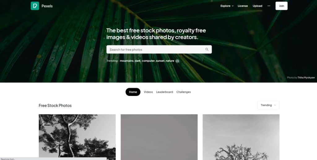 screenshot of the pexels homepage