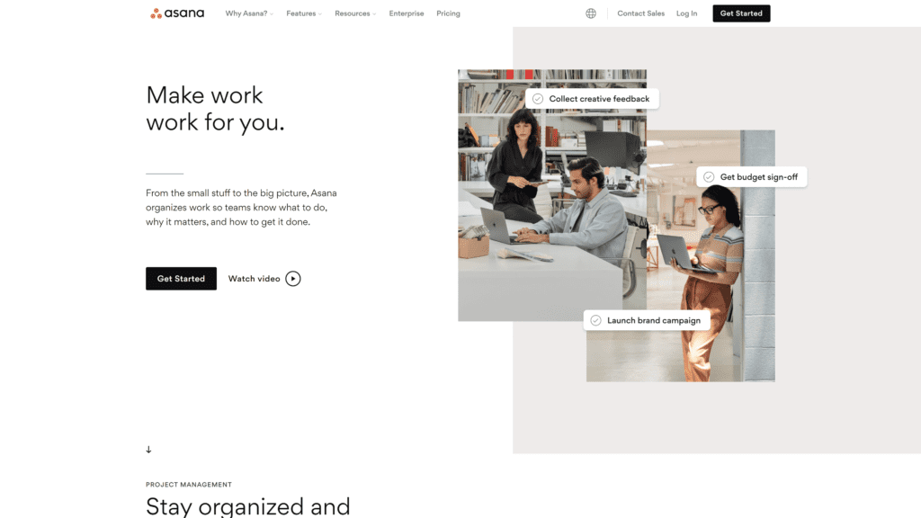 screenshot of the asana homepage