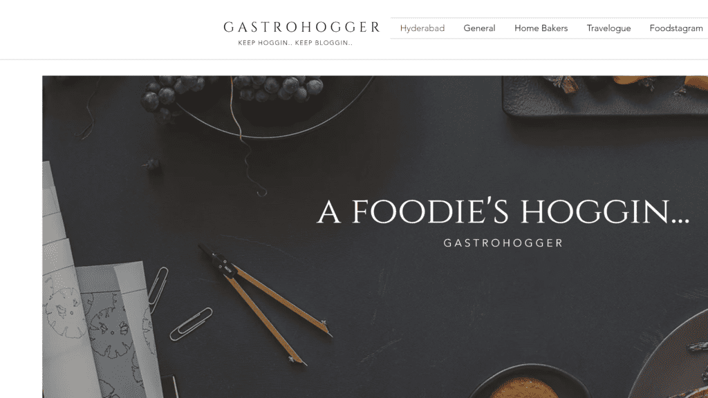 screenshot of the gastrohogger homepage