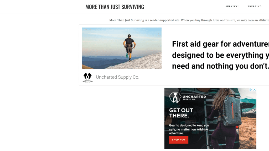 screenshot of the more than just surviving homepagei